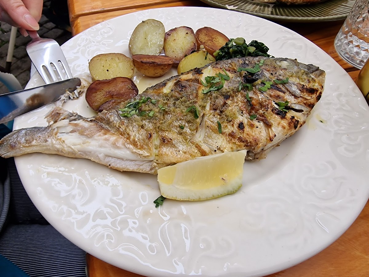 Conqvistador Brunch Cafe-10